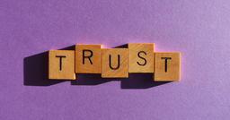 Trust Elements and Social Proo