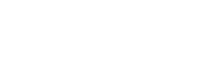 Camino Financial