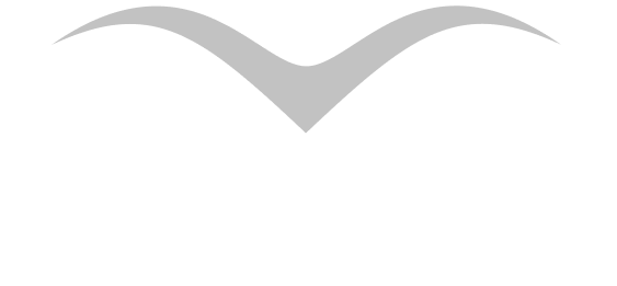 VOLO
